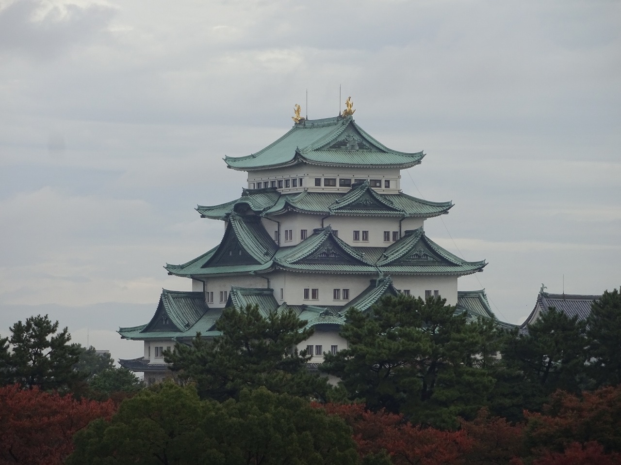 会場の窓から名古屋城を望むことが出来ました