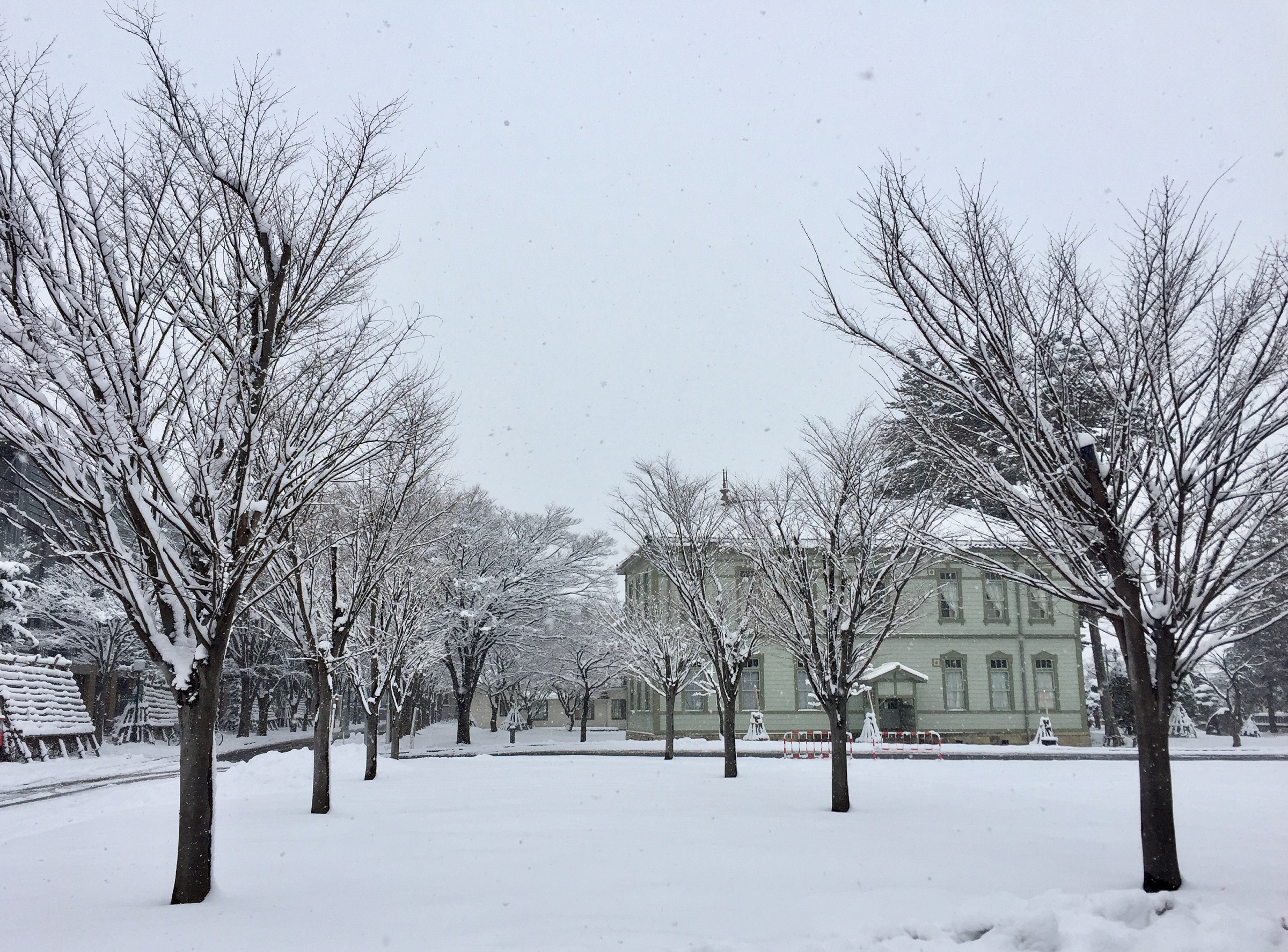 雪のキャンパス.jpg