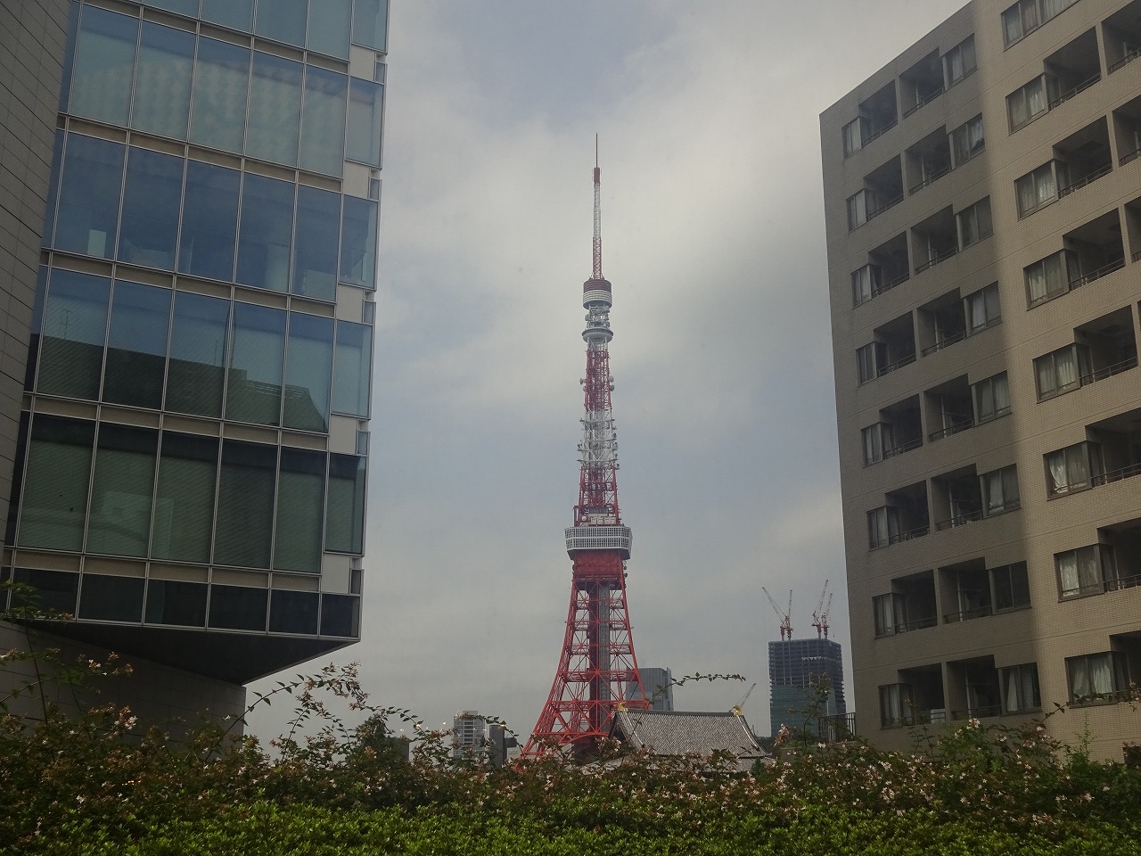 受付脇の窓から東京タワーを望むことができました